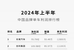 銷冠比亞迪，“不要利潤”