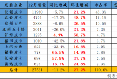 皮卡2024年銷車28萬輛！新能源大漲60%！